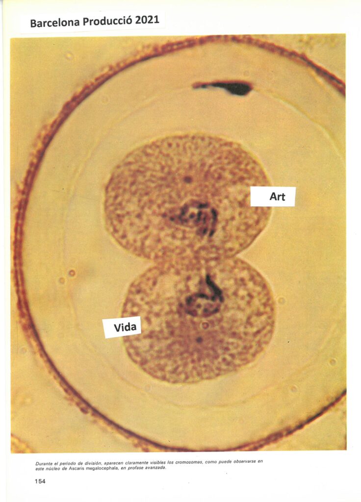 What the cell!